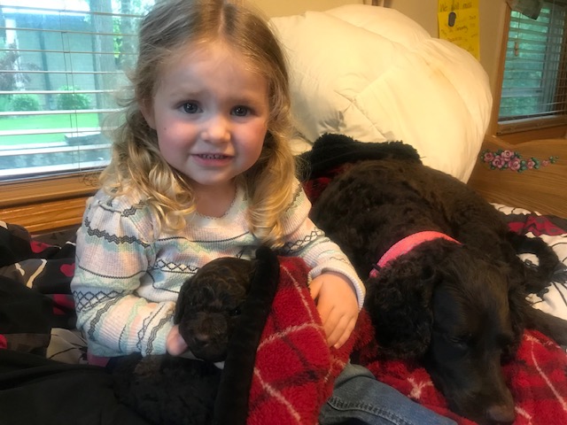 Mother dog with puppy and granddaughter!