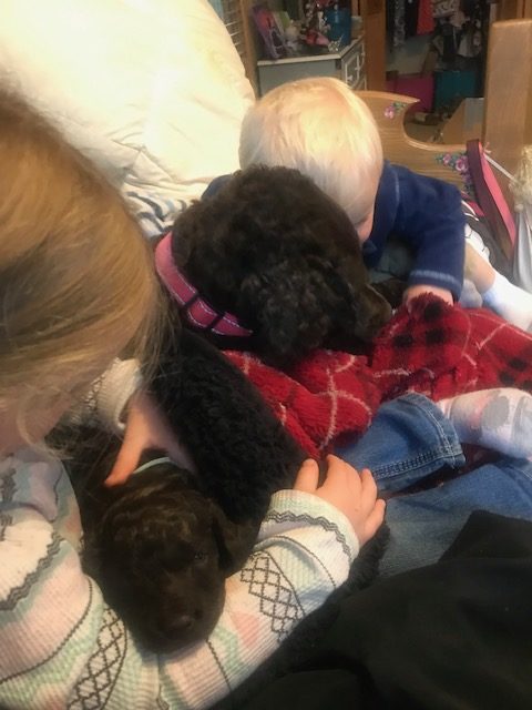 Grandchildren with Mom Snickers and a pup!